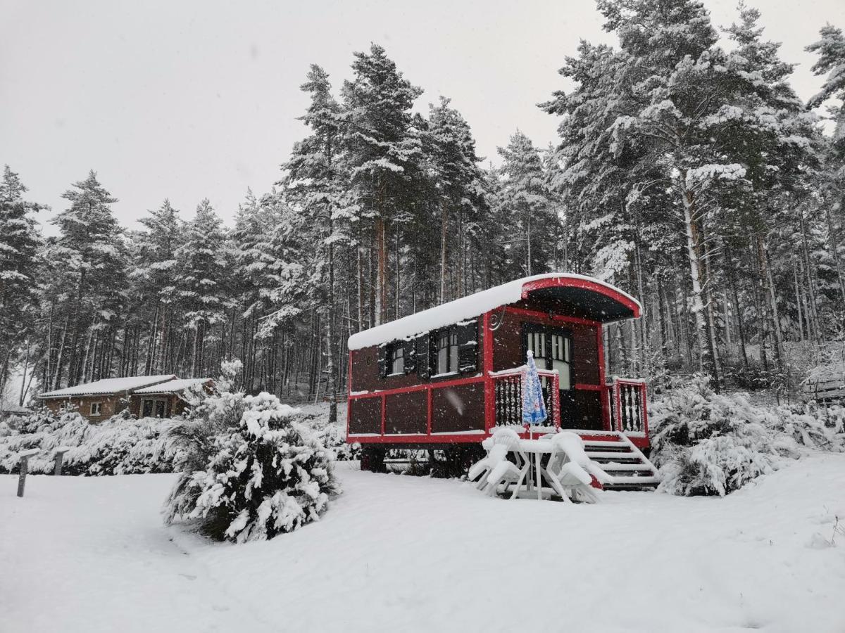 Les Chalets Du Haut-Forez Usson-en-Forez Zewnętrze zdjęcie