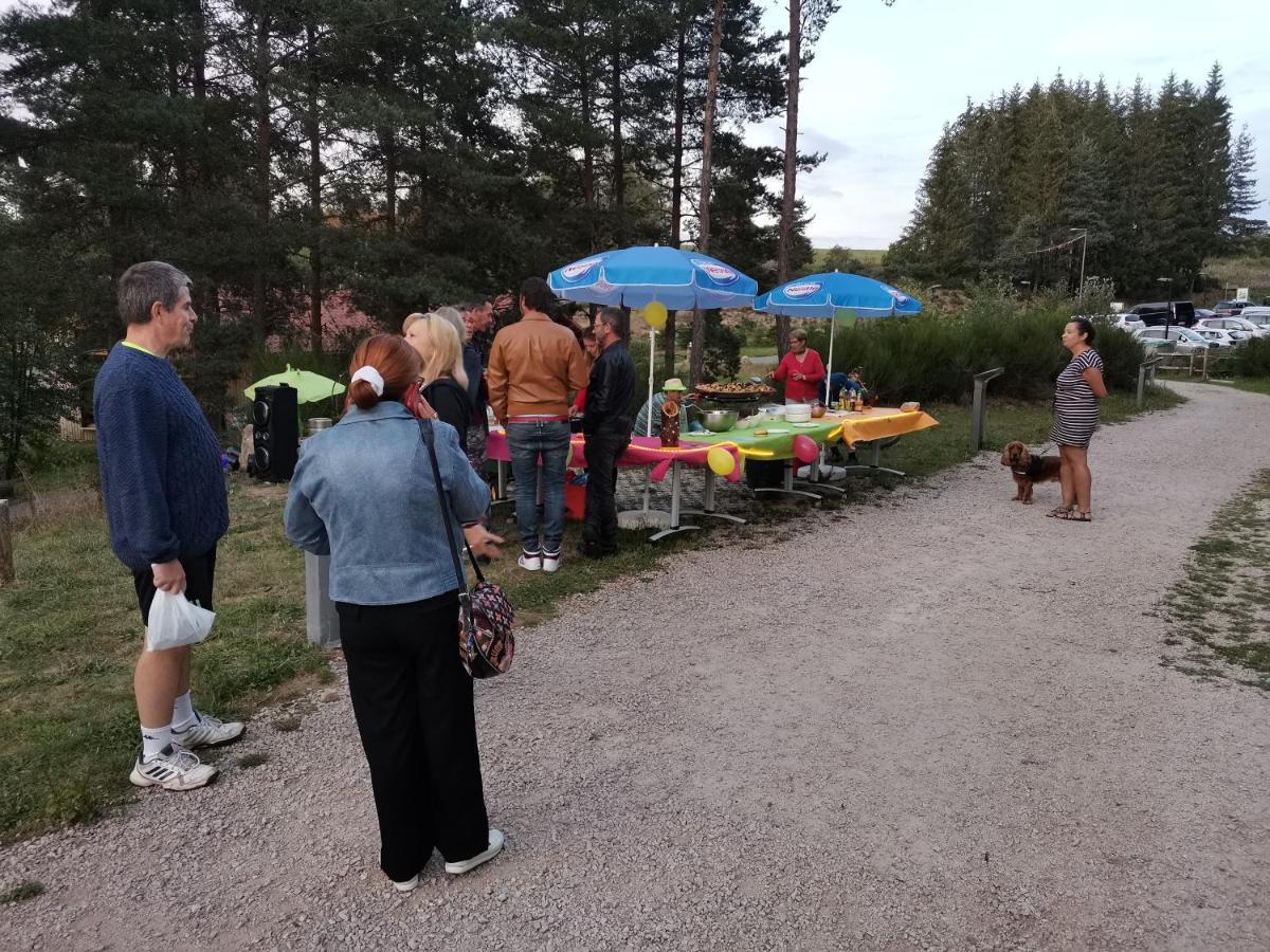 Les Chalets Du Haut-Forez Usson-en-Forez Zewnętrze zdjęcie