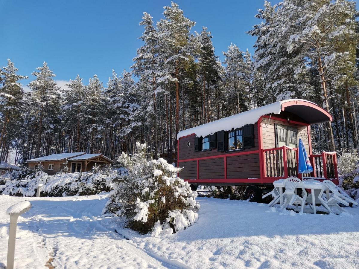 Les Chalets Du Haut-Forez Usson-en-Forez Zewnętrze zdjęcie