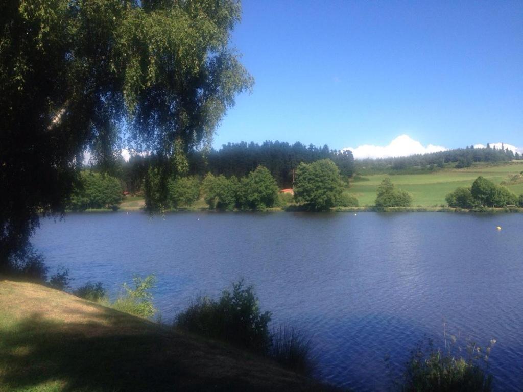 Les Chalets Du Haut-Forez Usson-en-Forez Zewnętrze zdjęcie