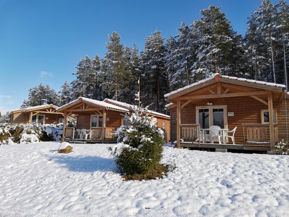 Les Chalets Du Haut-Forez Usson-en-Forez Zewnętrze zdjęcie