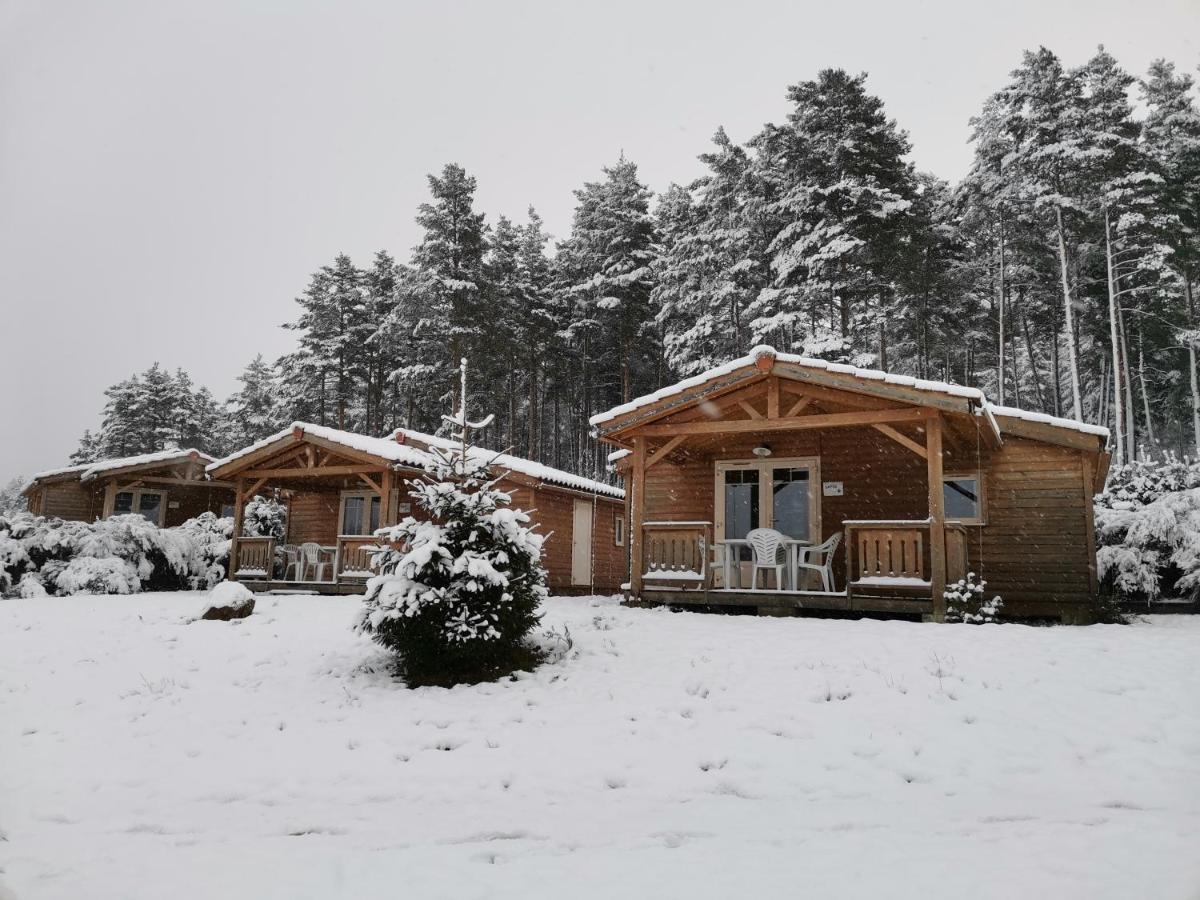 Les Chalets Du Haut-Forez Usson-en-Forez Zewnętrze zdjęcie