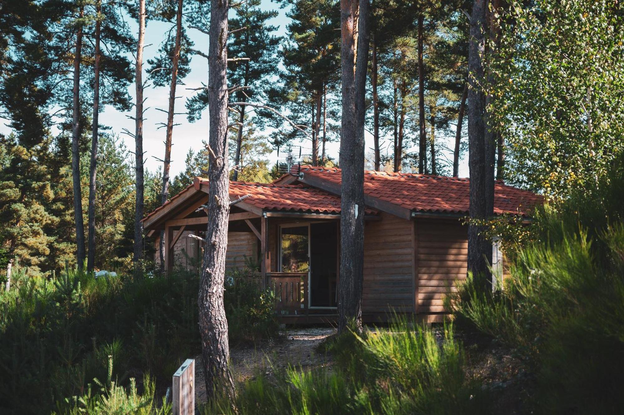 Les Chalets Du Haut-Forez Usson-en-Forez Zewnętrze zdjęcie