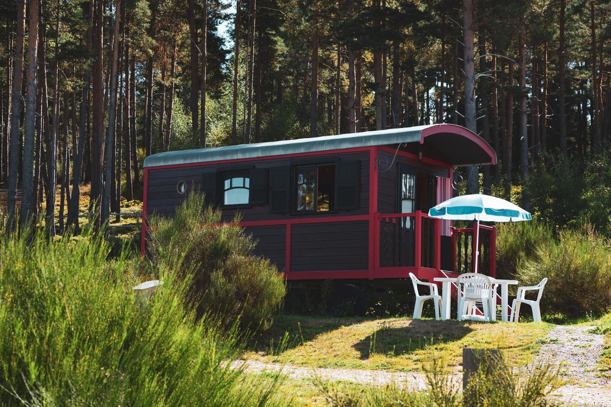 Les Chalets Du Haut-Forez Usson-en-Forez Zewnętrze zdjęcie